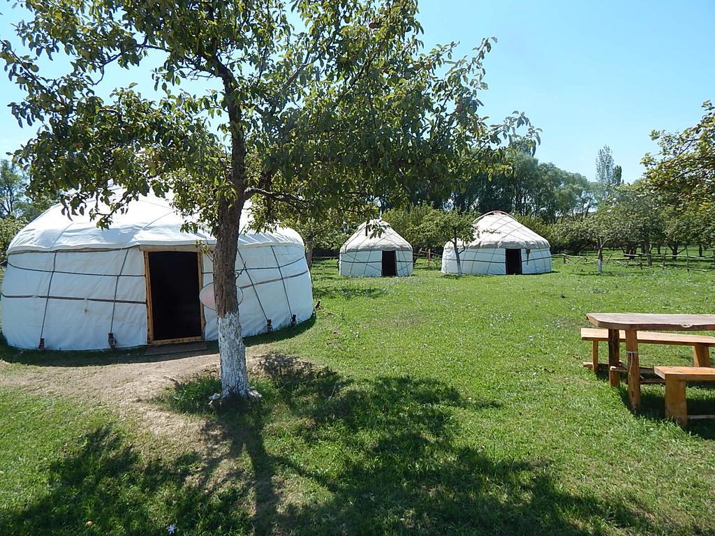 Jurten Camp Almaluu Tong Exterior foto